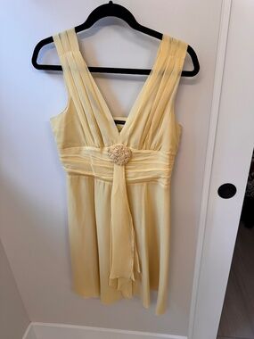 Silk Spring / Summer Dress